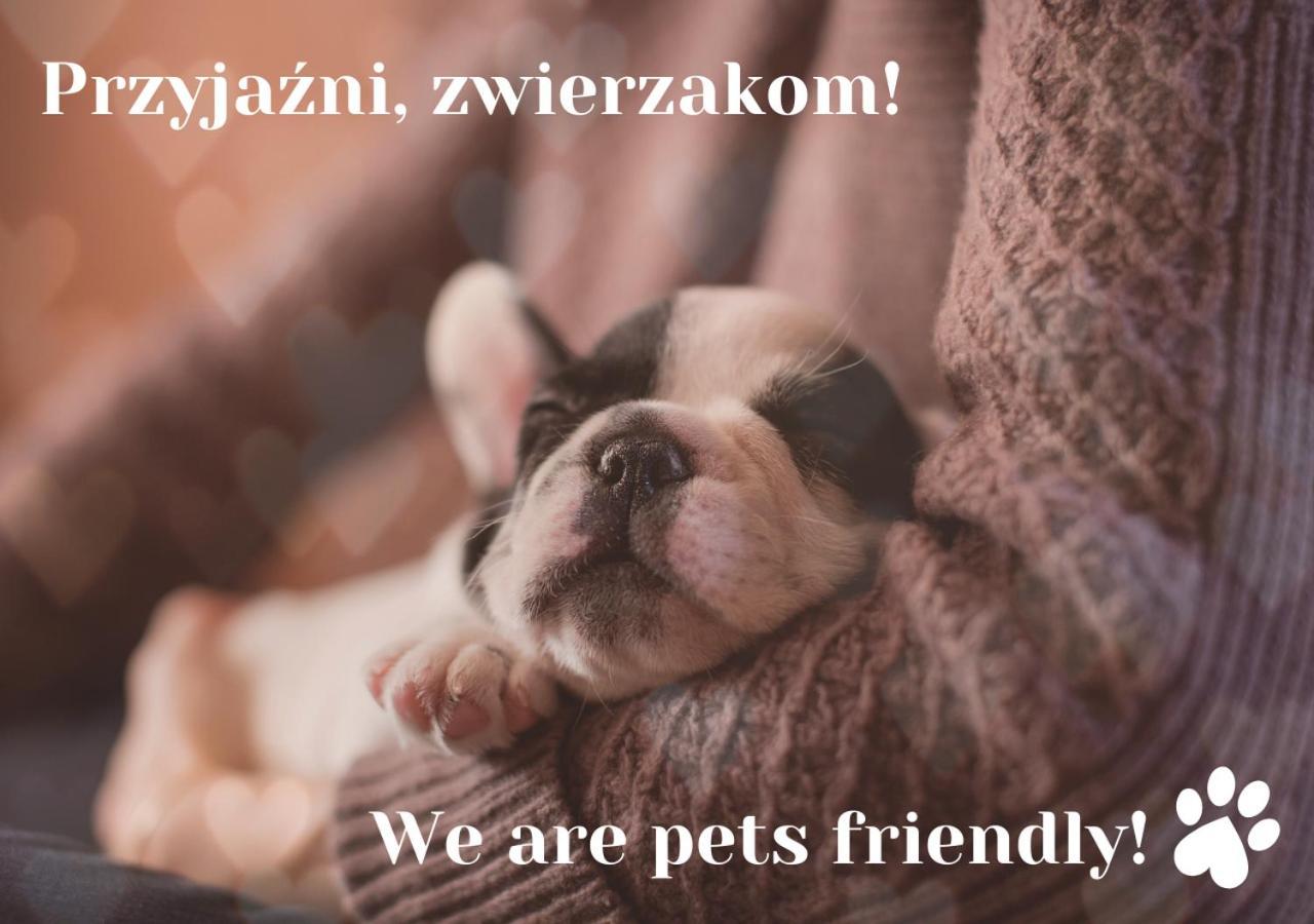 Willa Jordanowka Czorsztyn Εξωτερικό φωτογραφία